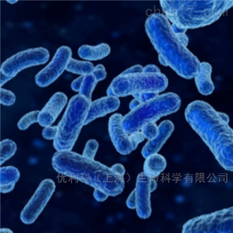 凍干粉綠色鏈霉菌