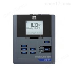 美國(guó)YSI4010-3W多參數(shù)水質(zhì)分析儀（三通道）