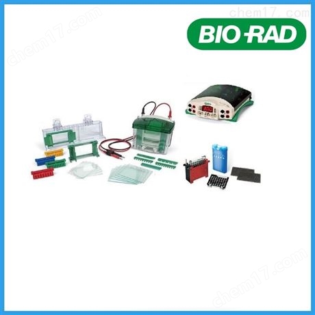 Bio-Rad美國伯樂小垂直電泳槽1658001